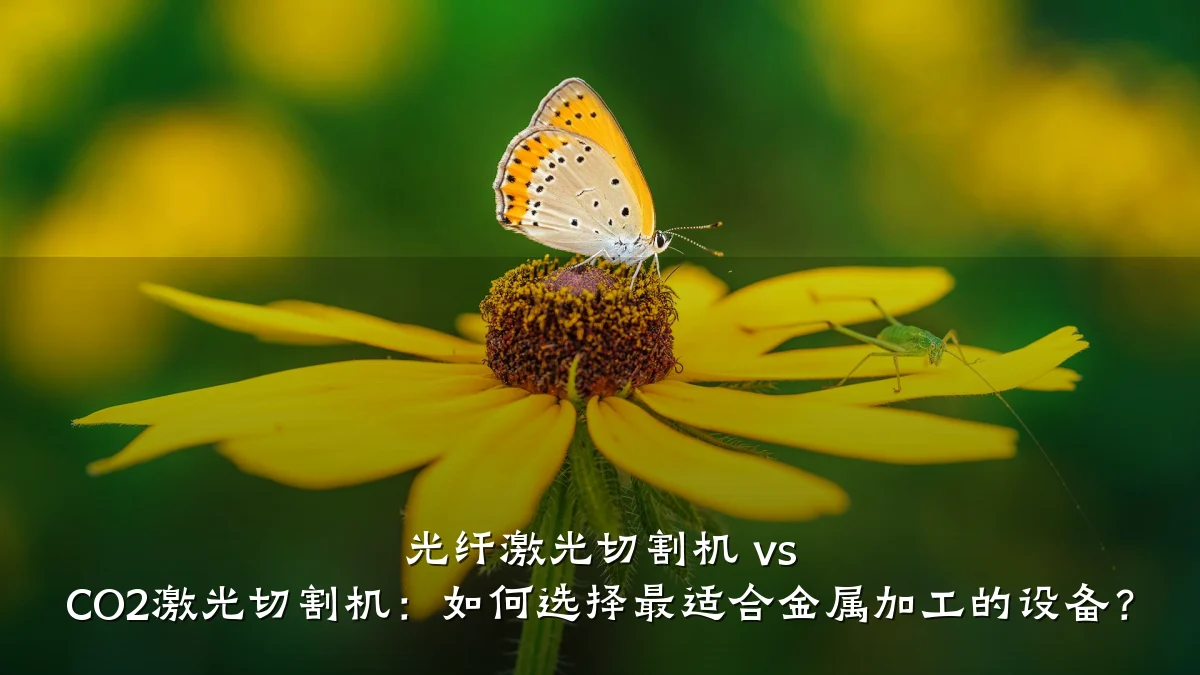 光纤激光切割机 vs CO2激光切割机：如何选择最适合金属加工的设备？