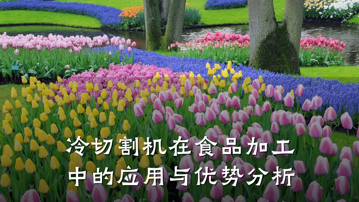 冷切割机在食品加工中的应用与优势分析