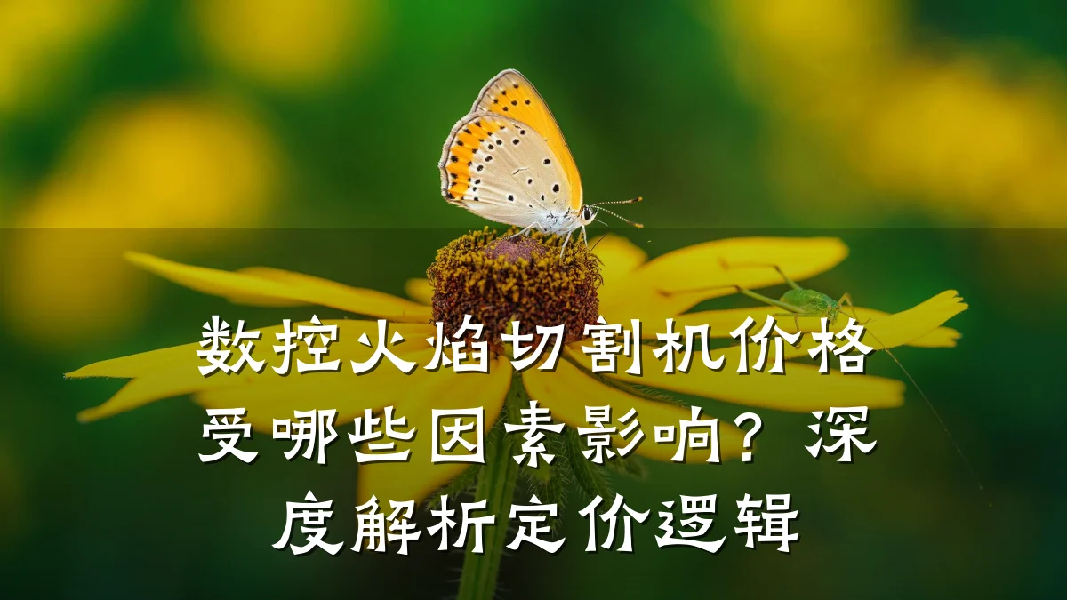数控火焰切割机价格受哪些因素影响？深度解析定价逻辑