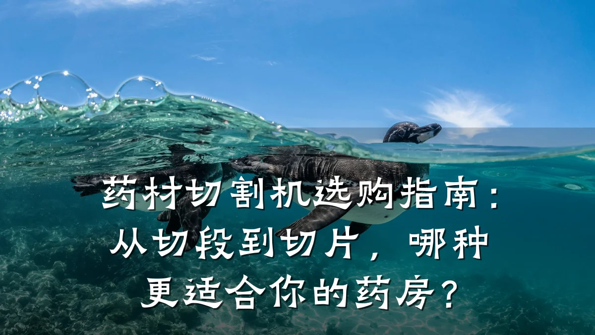 药材切割机选购指南：从切段到切片，哪种更适合你的药房？