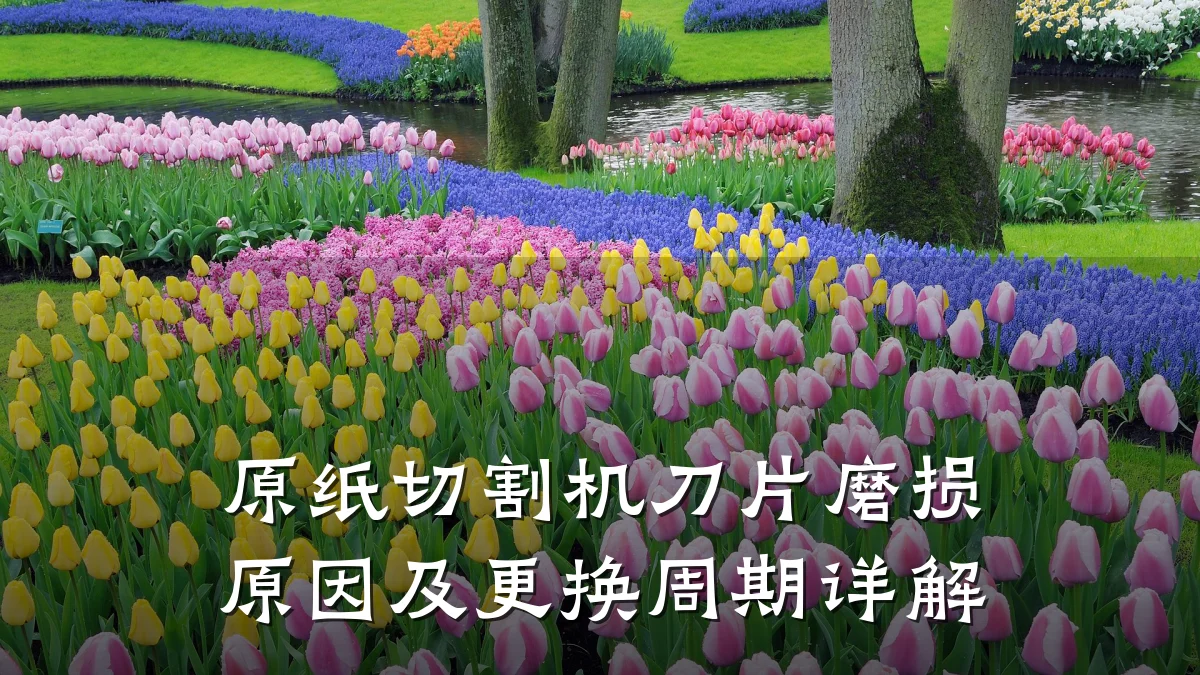原纸切割机刀片磨损原因及更换周期详解