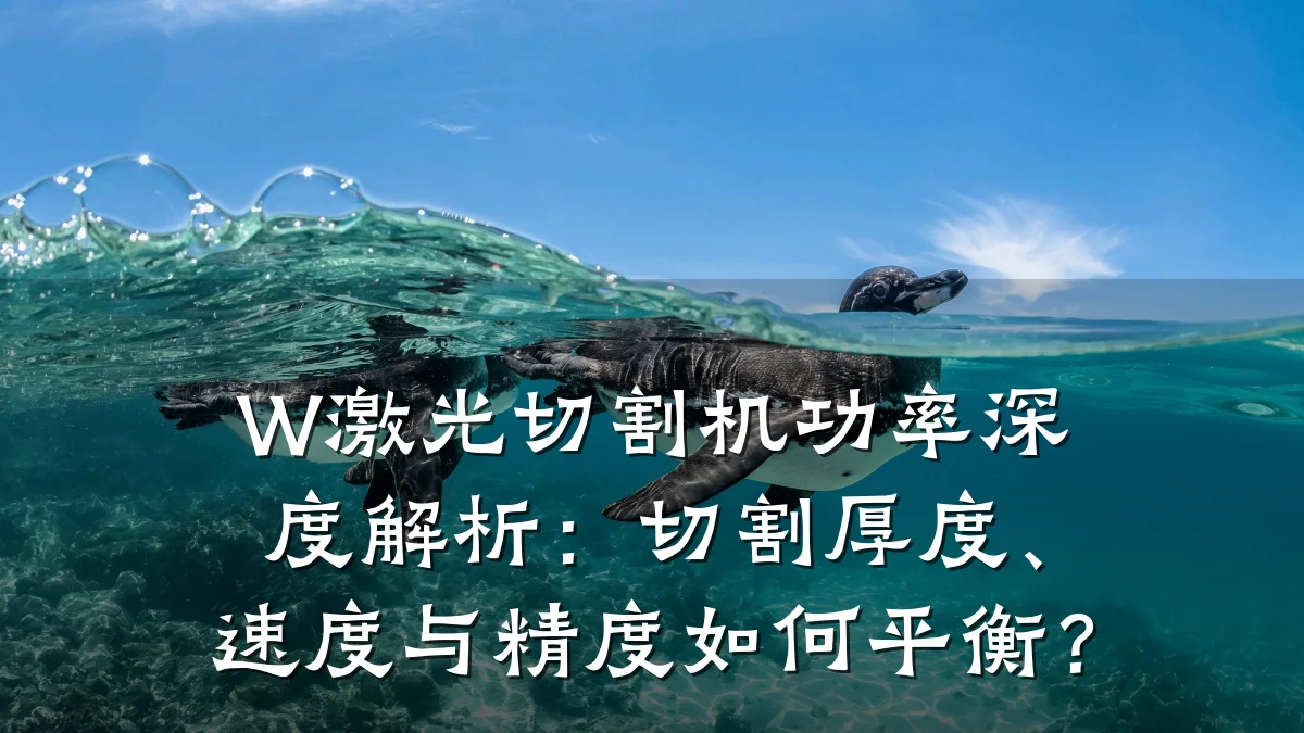 W激光切割机功率深度解析：切割厚度、速度与精度如何平衡？