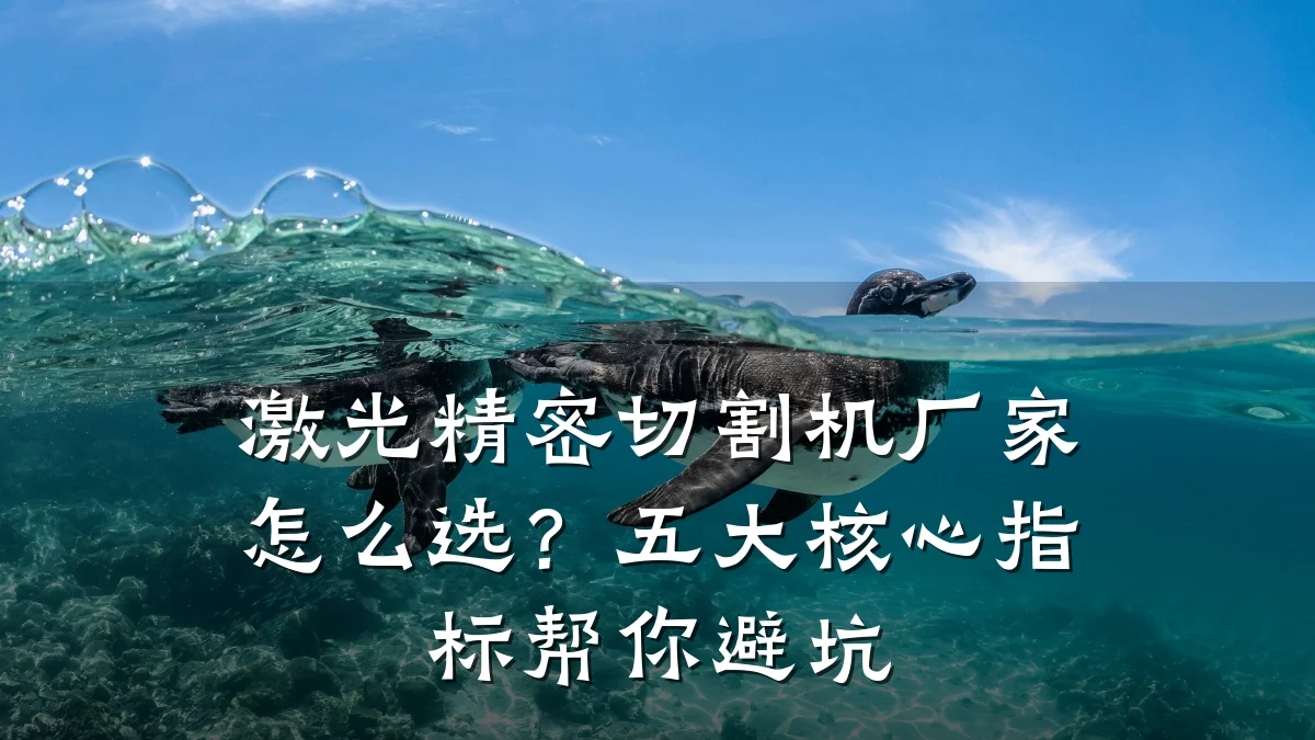 激光精密切割机厂家怎么选？五大核心指标帮你避坑