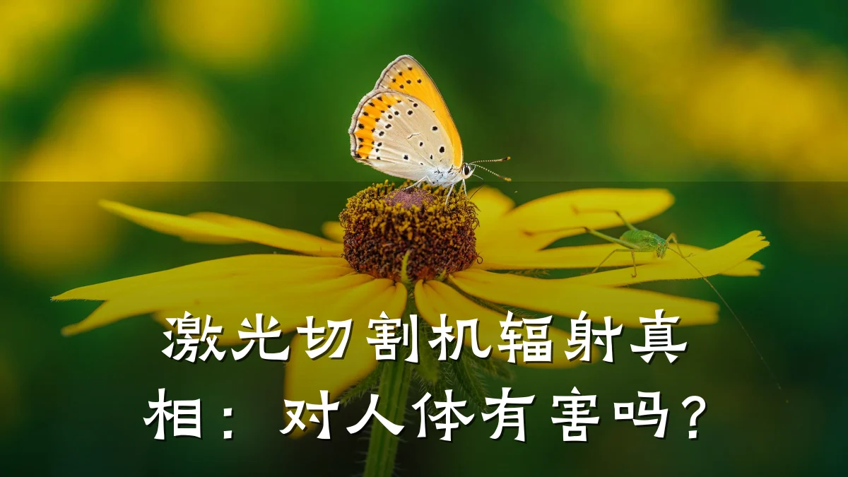 激光切割机辐射真相：对人体有害吗？