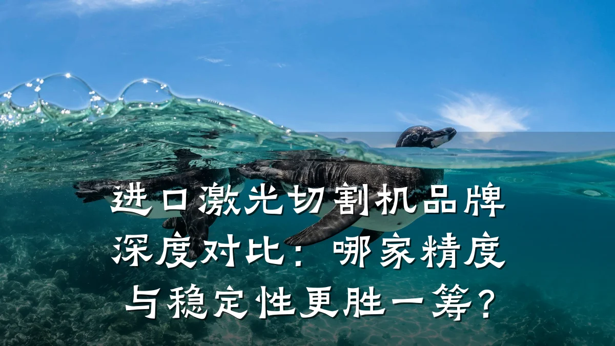 进口激光切割机品牌深度对比：哪家精度与稳定性更胜一筹？