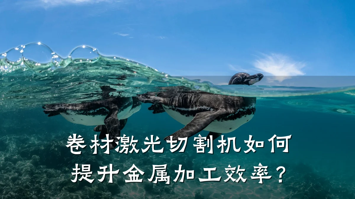 卷材激光切割机如何提升金属加工效率？