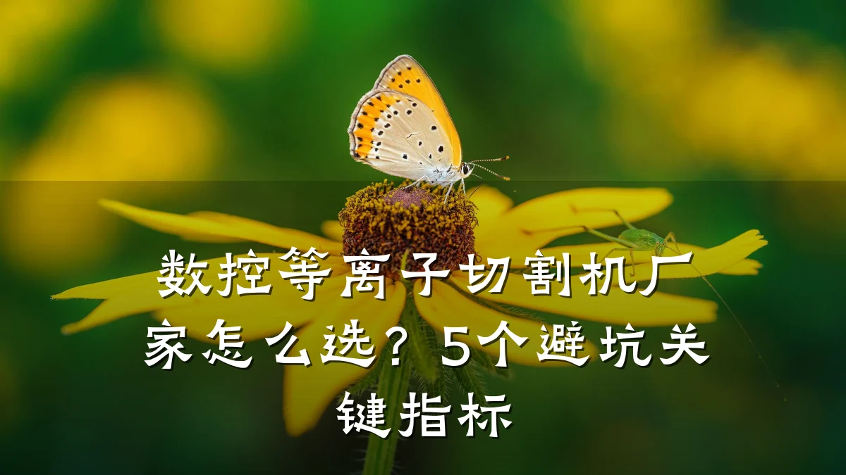 数控等离子切割机厂家怎么选？5个避坑关键指标