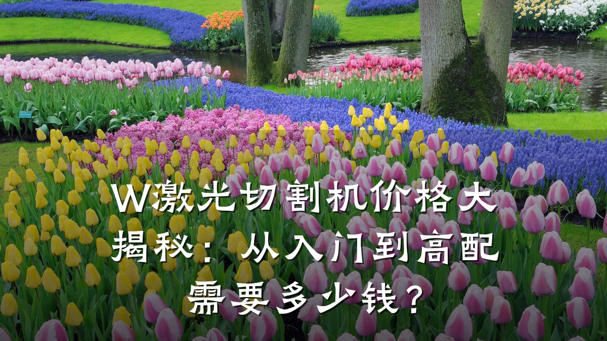 W激光切割机价格大揭秘：从入门到高配需要多少钱？